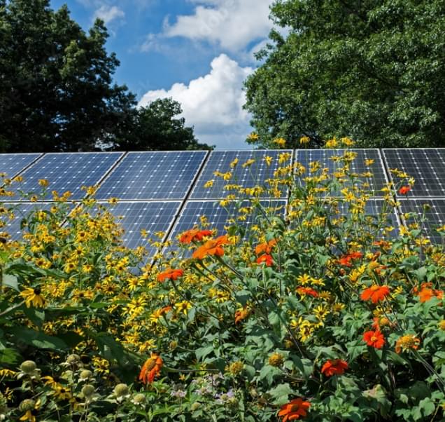 Schütze die Umwelt 
                mit Deiner Solaranlage